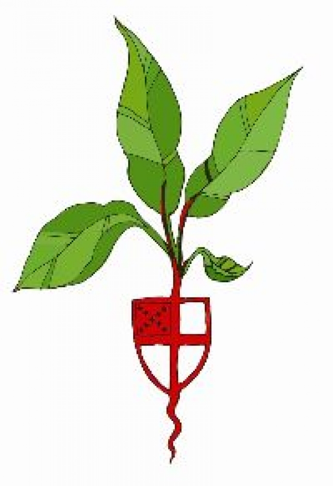 theological education theological scholarships theological education theological scholarships